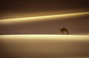 production-services-and-filming-in-algeria-sahara-desert